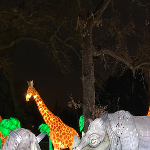 Travel: City Zoo Lights can't missed | Community | normantranscript.com