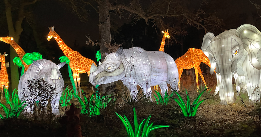Travel: Oklahoma City Zoo Safari Lights can't be missed