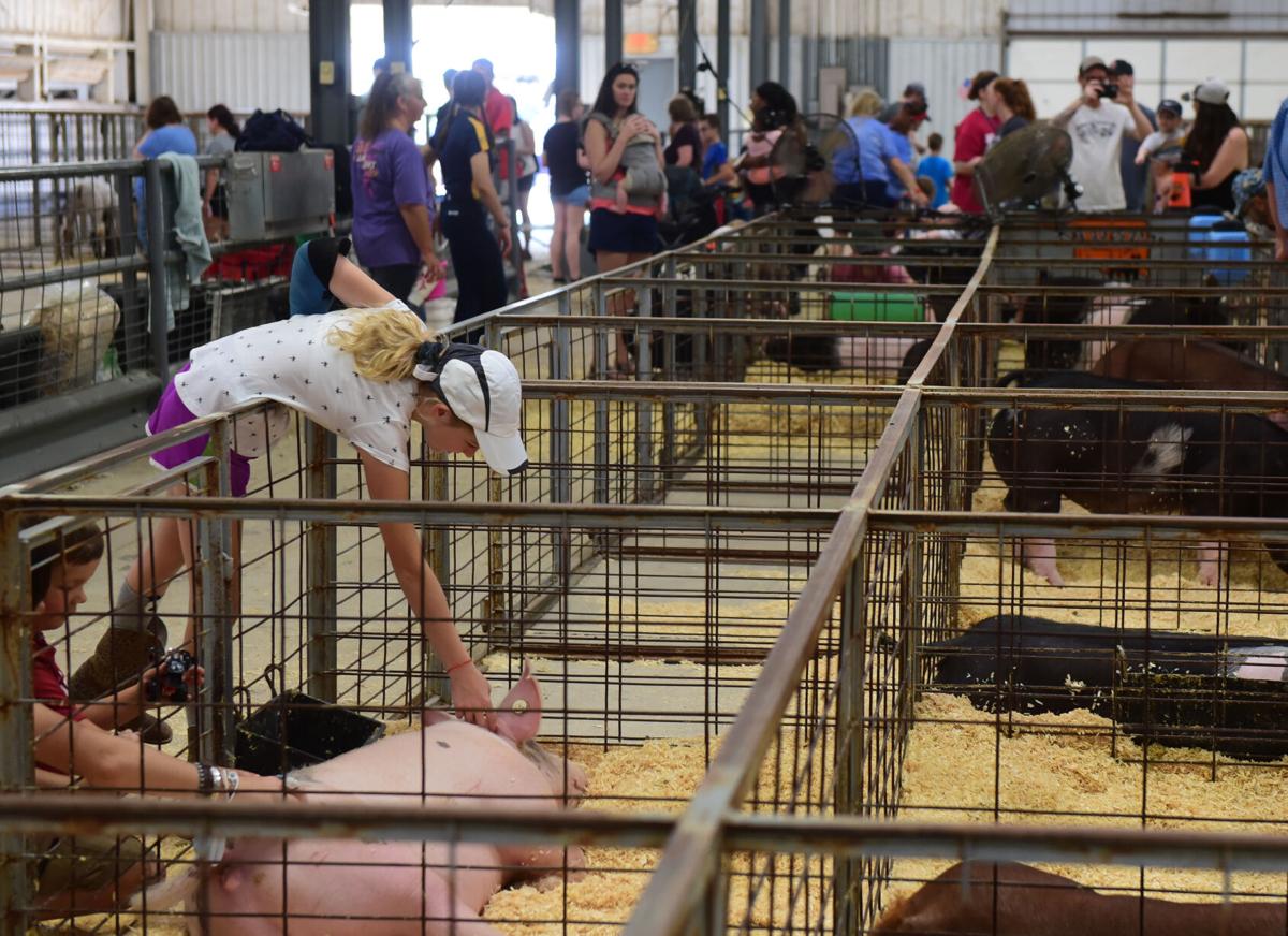 Cleveland County Free Fair