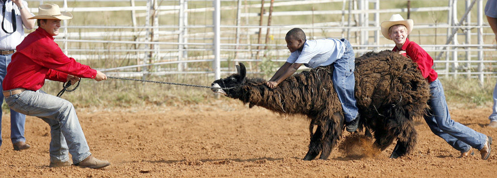 Boys Ranch Rodeo Rodeo brings alumni back to Boys Ranch Town | Edmond | normantranscript.com