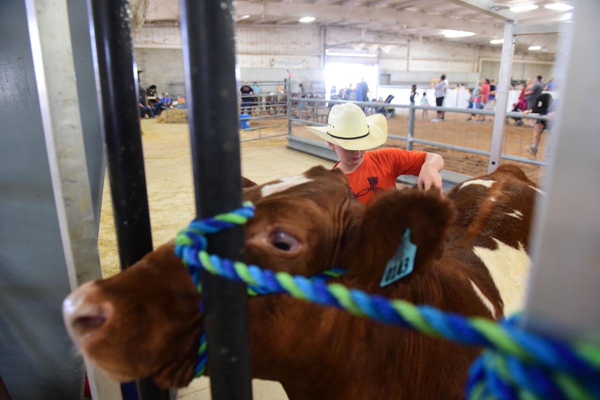 Cleveland County Free Fair