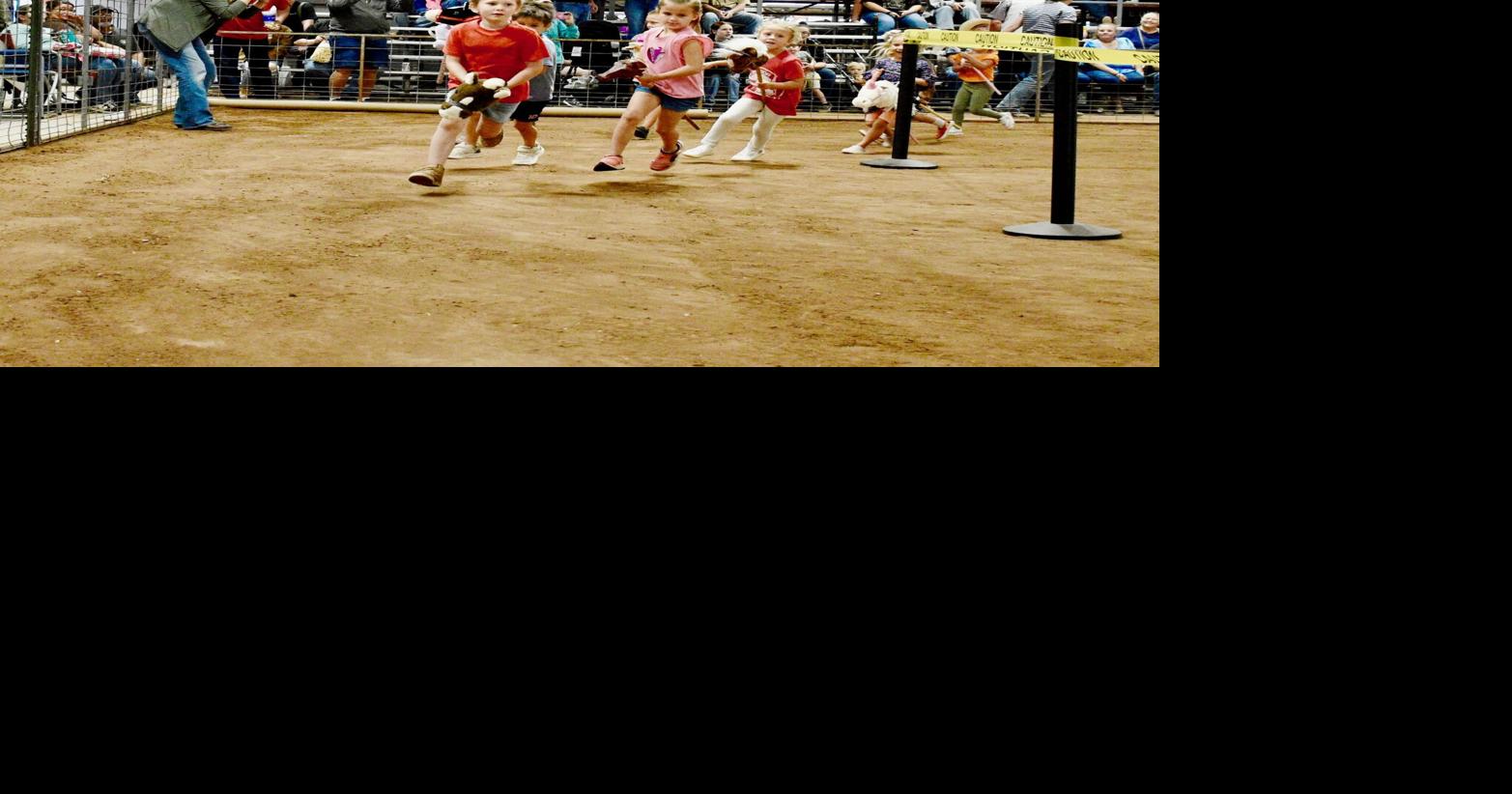 COUNTY: Tips for getting the most out of this year’s county fair