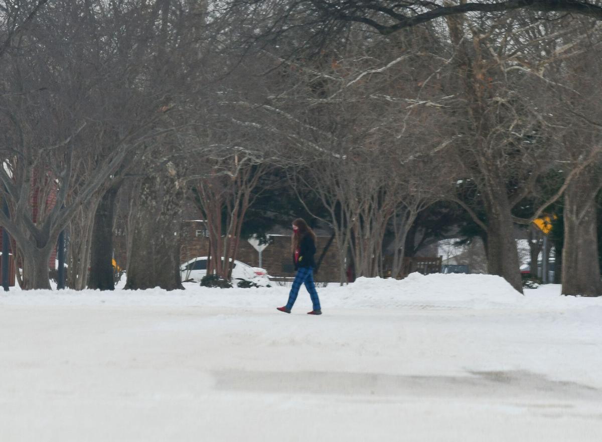 Norman Snow Day 3