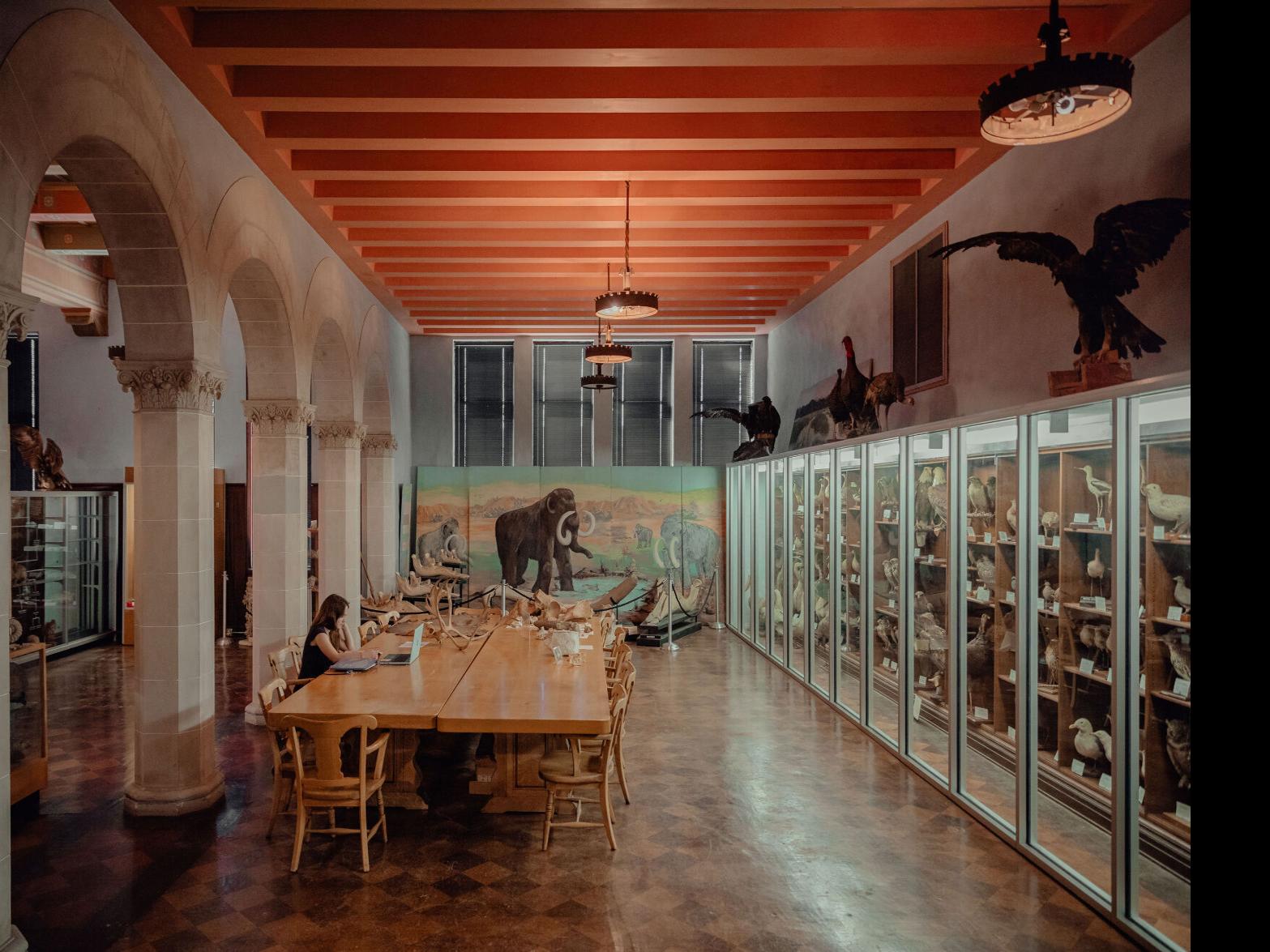 Museum of Natural History in North-Central Oklahoma impacting ...