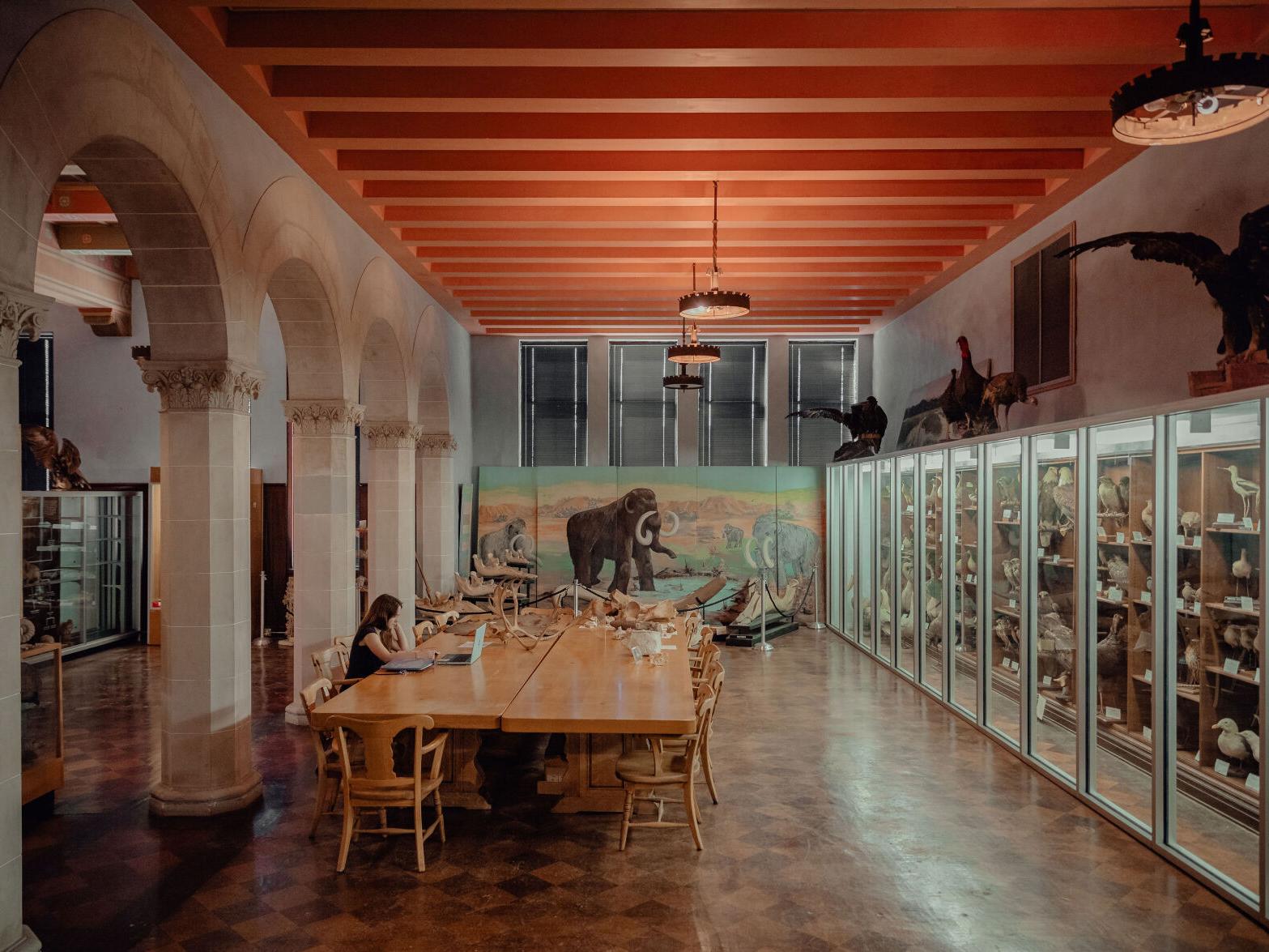 Museum of Natural History in North-Central Oklahoma impacting ...