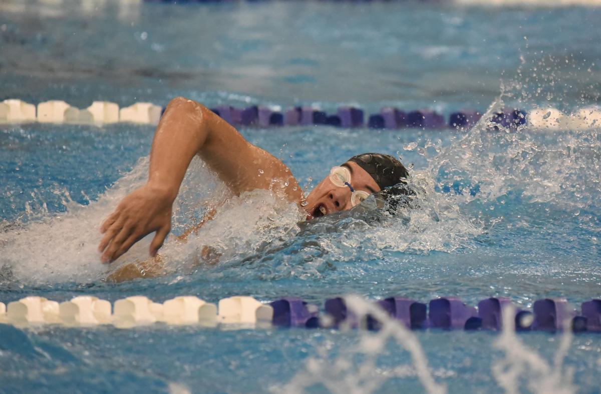 Regional Swimming