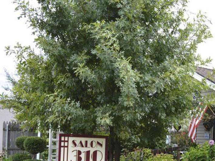 Salon 310 Offers Elegant Comfort That Feels Like Home Business Normantranscript Com