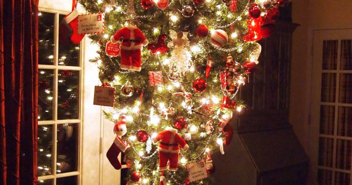 GARDEN COLUMN: How did evergreens become a Christmas symbol? (copy)