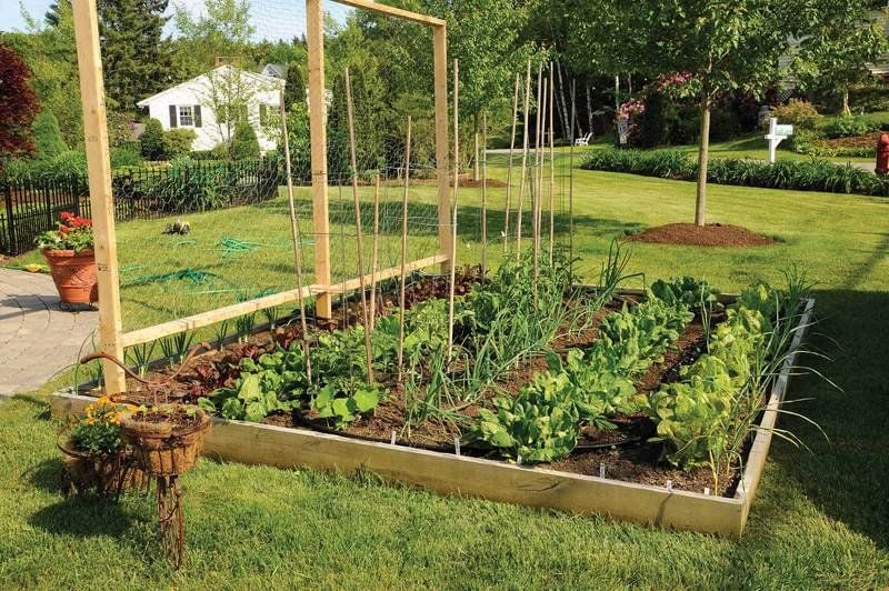 Planning Your Vegetable Garden, Oklahoma Vegetable Gardening