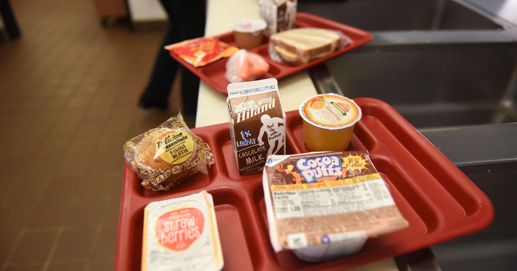 Free school meals return for the summer session - Vimarsana News