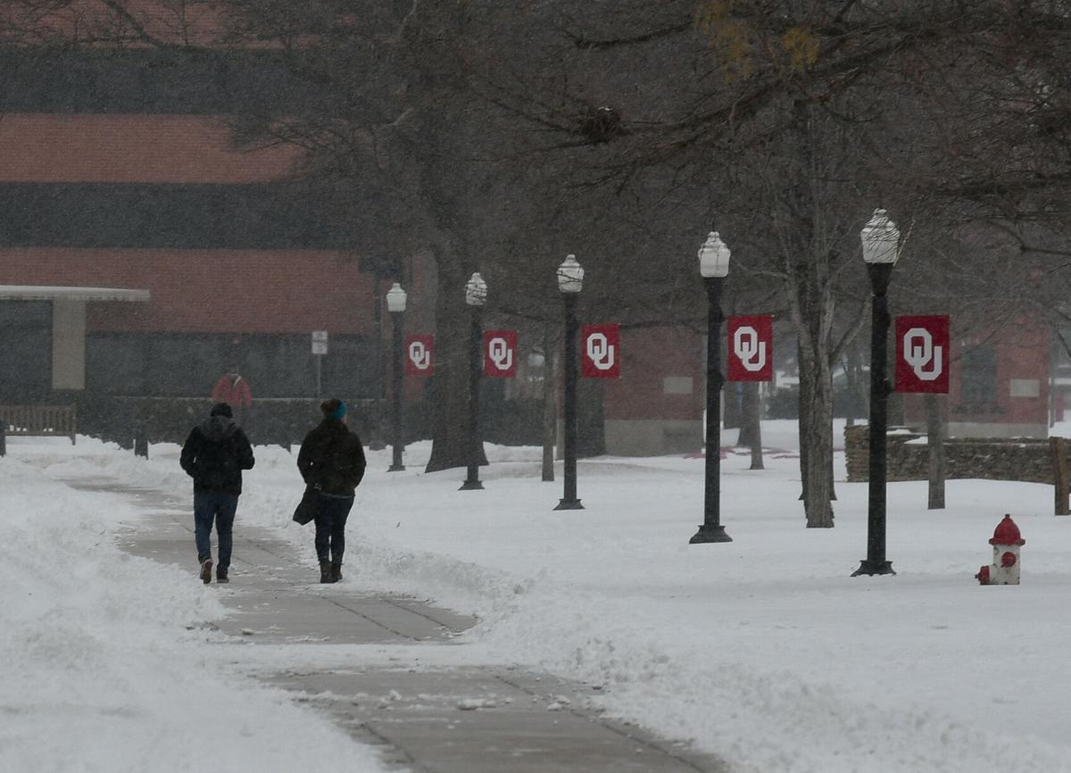 Norman Snow Day 3
