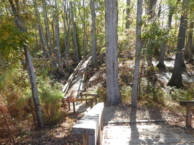 TRAVEL COLUMN: Exploring the Natchez Trace Parkway | Community ...