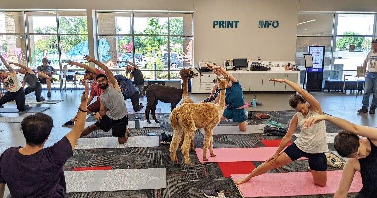Pioneer Library System to celebrate National Library Week - Vimarsana News