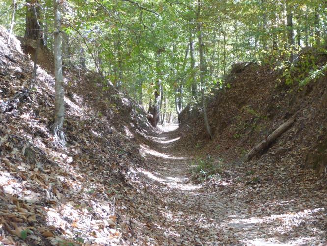 TRAVEL COLUMN: Exploring the Natchez Trace Parkway | Community ...