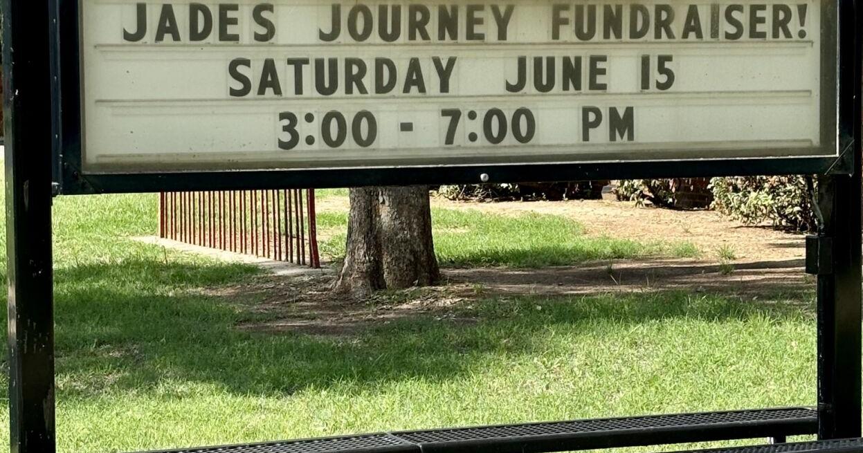 Community leaders hosting fundraiser for 8-year-old leukemia patient - Vimarsana News