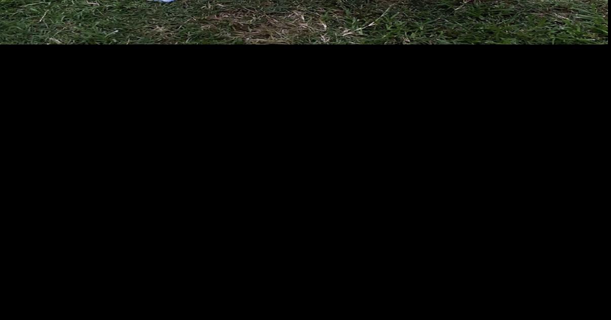 Quapaw tribe had to sign treaties for their survival News