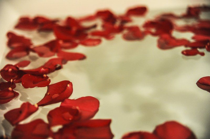 Nurture Day Spa owners create soothing environment for customers