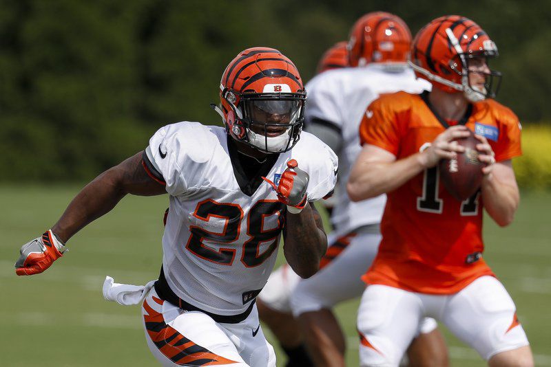 Cincinnati Bengals Multi-Sport Bike Helmet