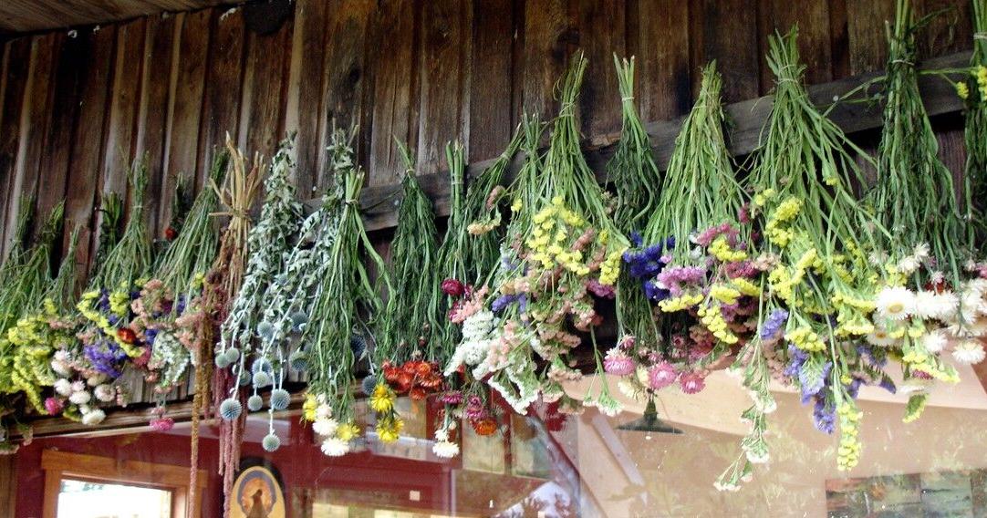 GARDEN COLUMN: Save flower seeds now for spring planting