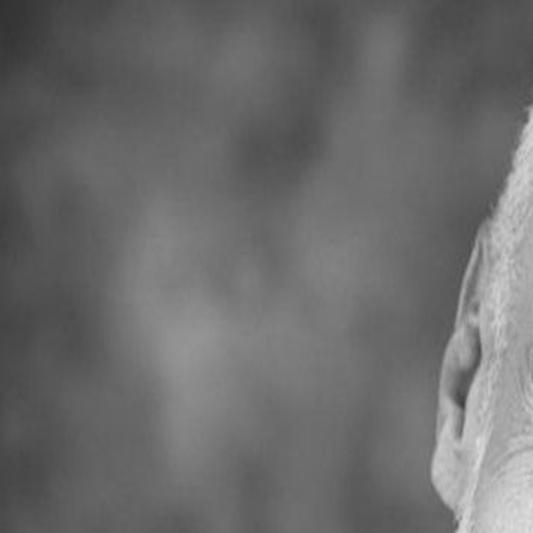 Arts Community Remembers Late Larry Walker Ntown