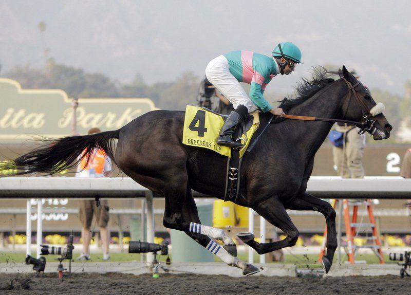 Horning Things You Can Watch Right Now Zenyatta At The Classic National Sports Normantranscript Com - Horse Racing Picture Frame 8×10 Horning Things You Can Watch Right Now Zenyatta At The Classic National Sports Normantranscript Com - Horse Racing Picture Frame 8×10