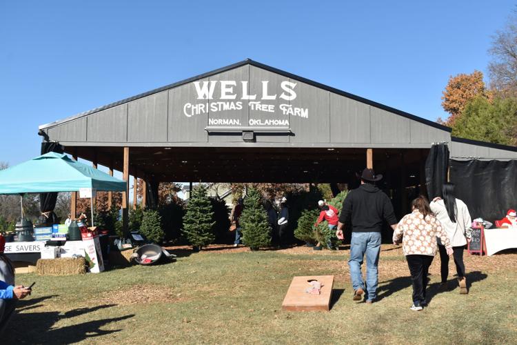 Wells Christmas Tree Farm opens to its eighth season in Norman | News ...