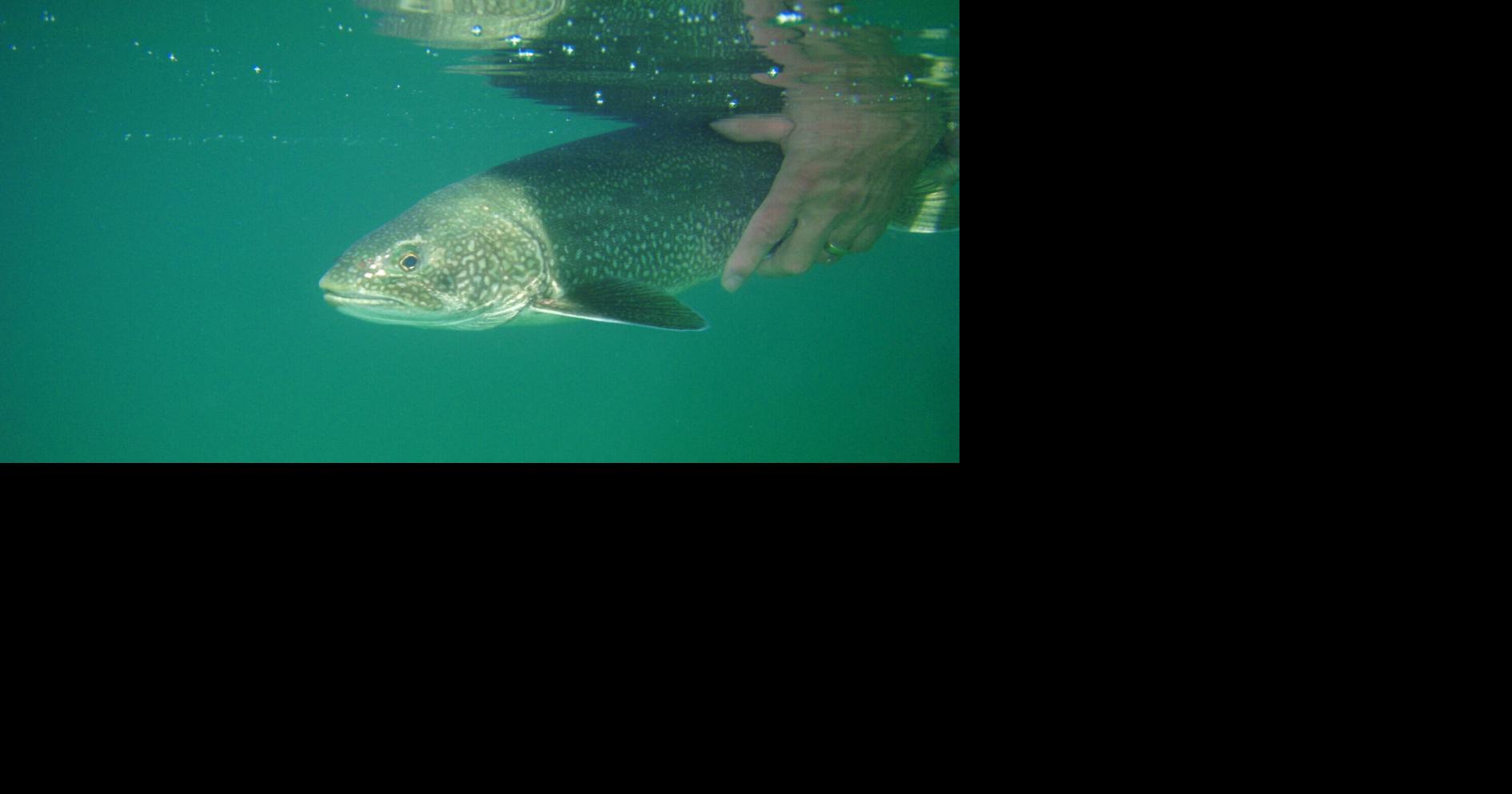 Lake fishing this time of year in Parry Sound-Muskoka can be ...