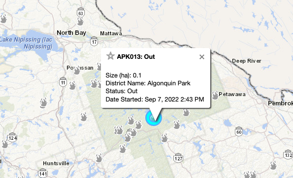 Algonquin Park fire now out: Ministry