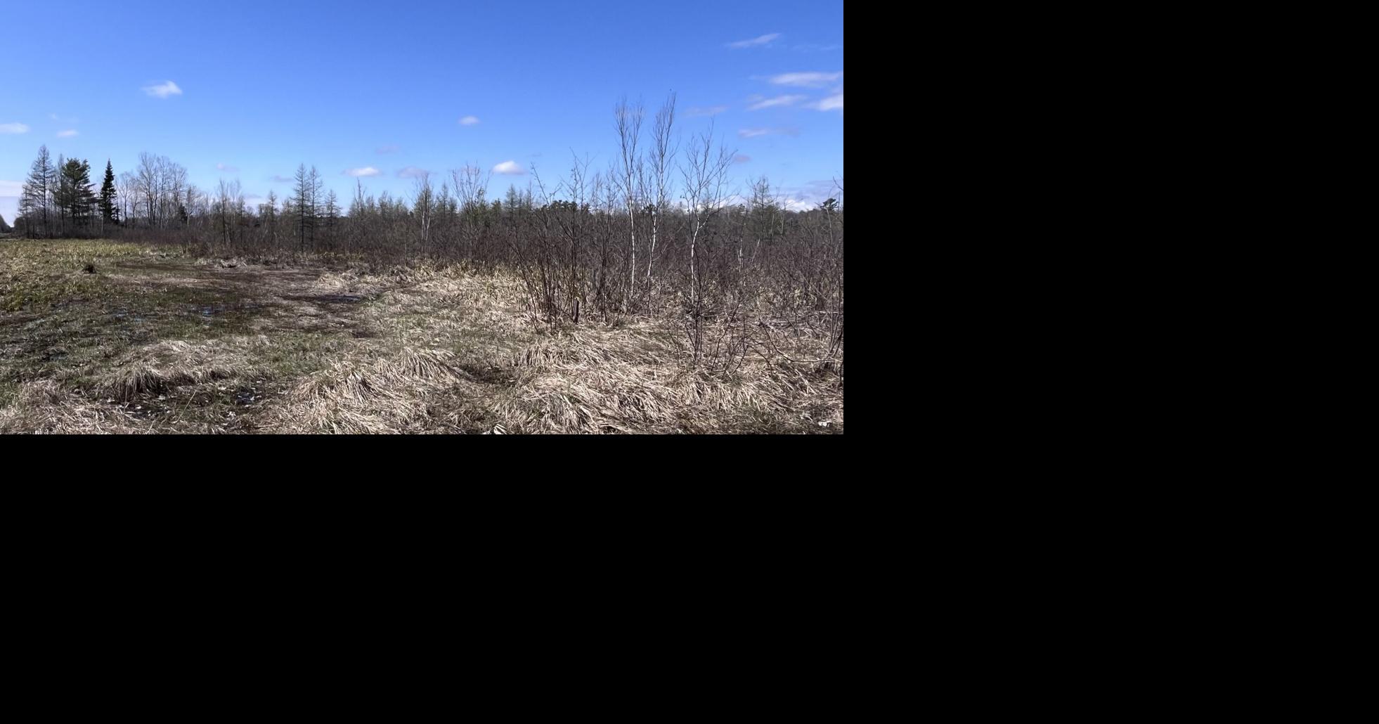 Magnetawan Land Trust protects Beagan Nature Reserve