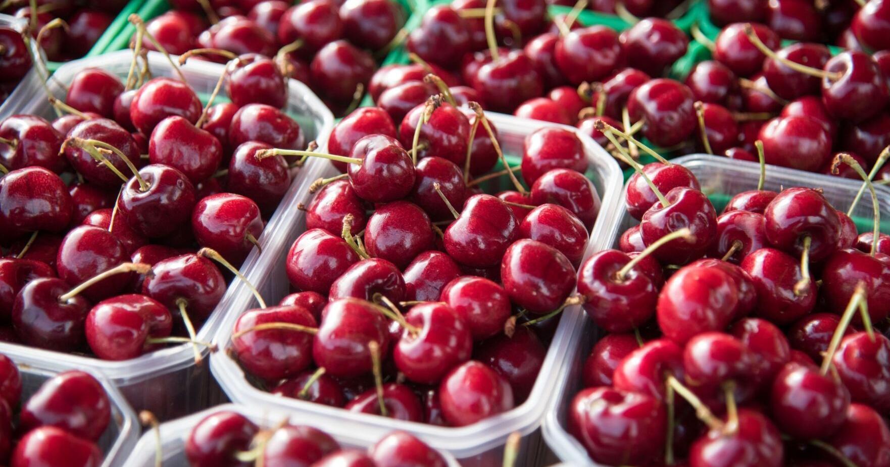 Powassan Farmers' Market launches another season - Vimarsana News