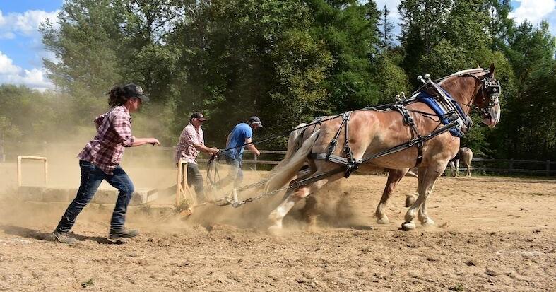 South River-Machar fair includes horse pull, lumberjacks
