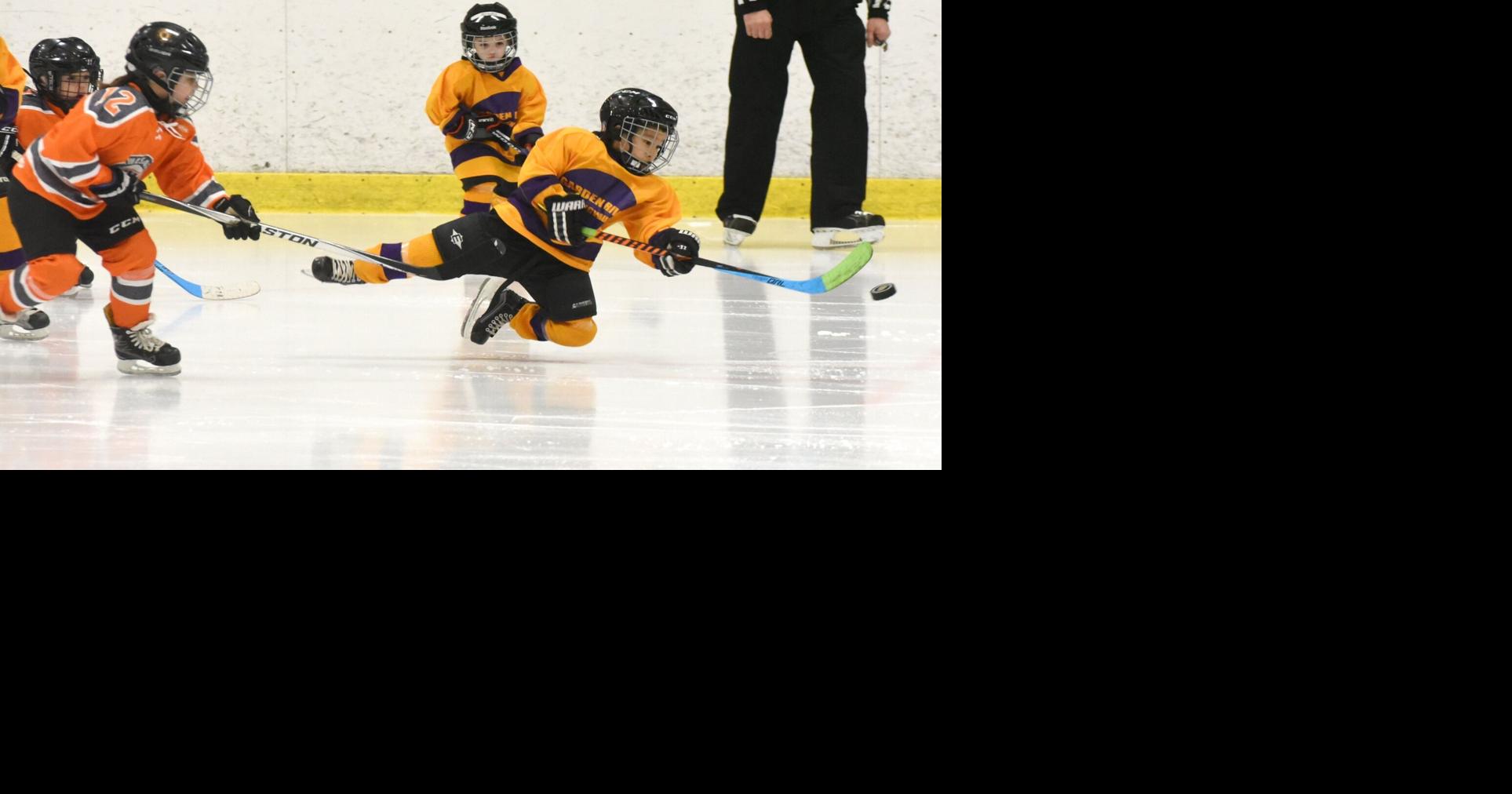 Little Native Hockey League tournament returns after hiatus