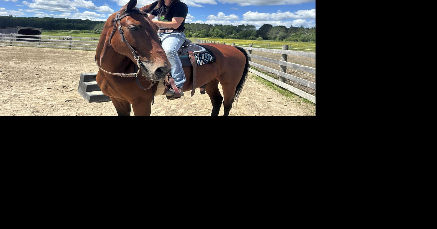 How an Almaguin ranch is celebrating local heritage through a national racehorse retraining challenge