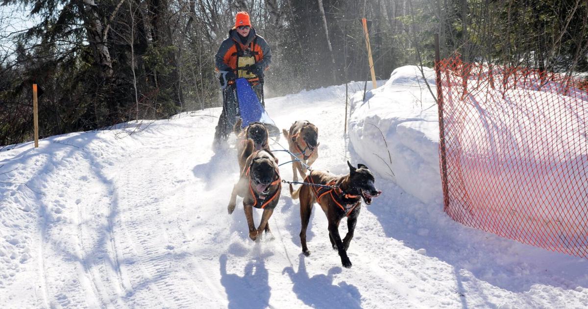 Chuck Sled Racing Dog sled racing makes comeback in Kearney