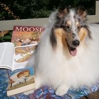 Sit, Stay Read at Callander Library