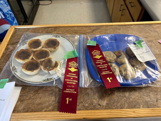SUNDRIDGE SOUTH RIVER NEWS: Fall fair awards, choral concert