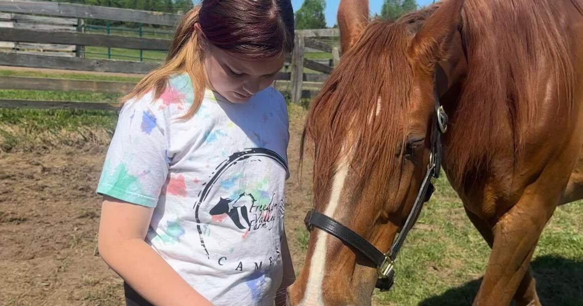 ‘They invite us into honesty’: Former international rider launches Project New Start in Callander