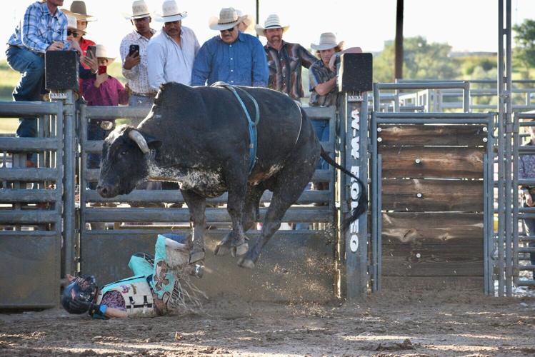 Bull Riding Delta Center Showstopper as bull riders take stage at Riverdale Park | Archives ...