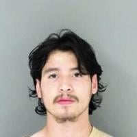 Man faces assault charge for Carpenter Fields stabbing