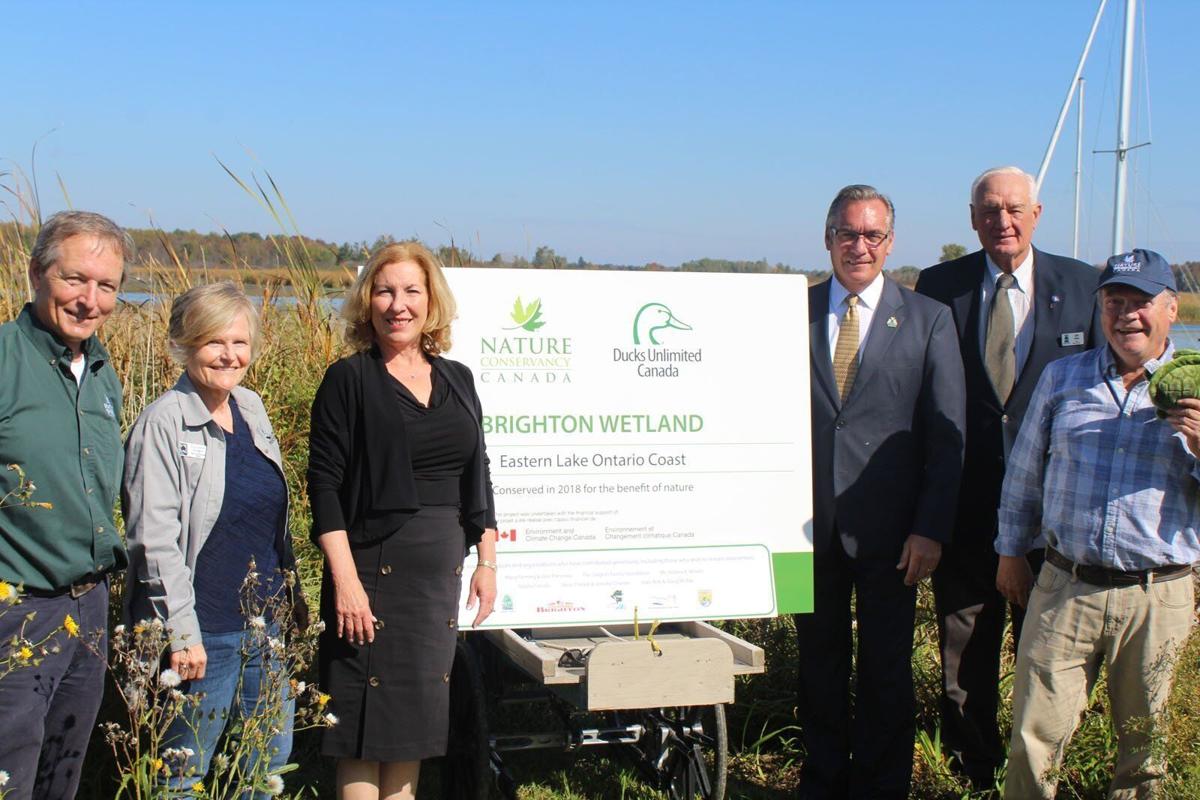 Two more of Ontario's threatened wetlands are under the protection of  Kawartha Land Trust