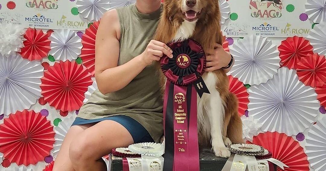 Brighton woman and border collie headed to show in France - Vimarsana News