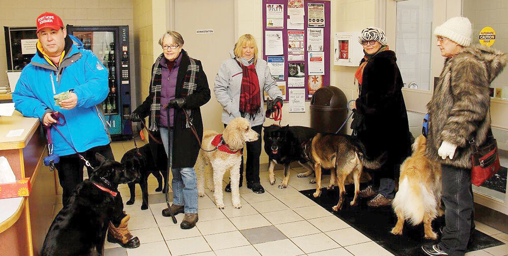 Port Hope dog park needs fence