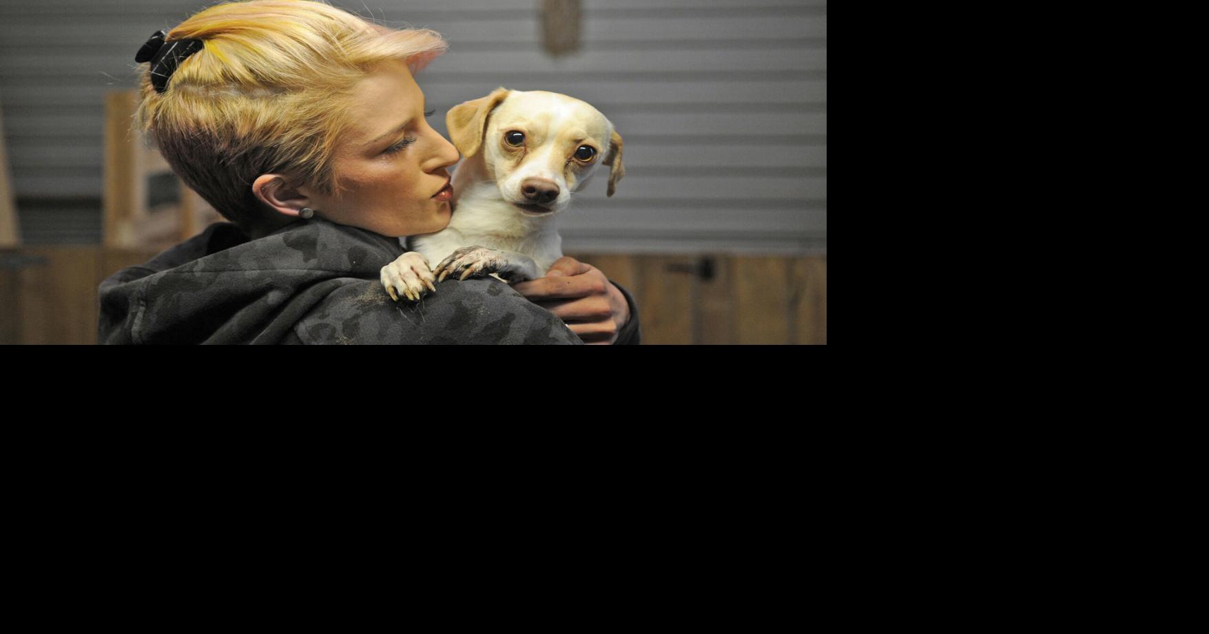 The Big Dog House offers a rescue sanctuary in the Port Hope area