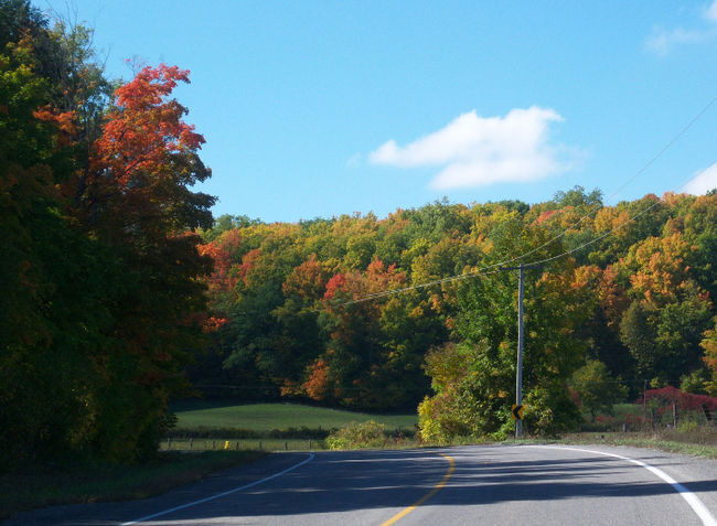 PHOTOS: Fall colours in Northumberland