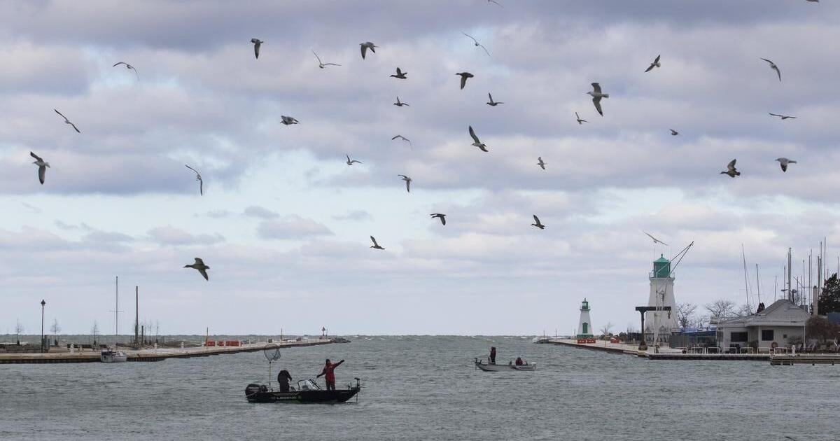 Your southern Ontario weekend forecast: storms, rain and a cool-down