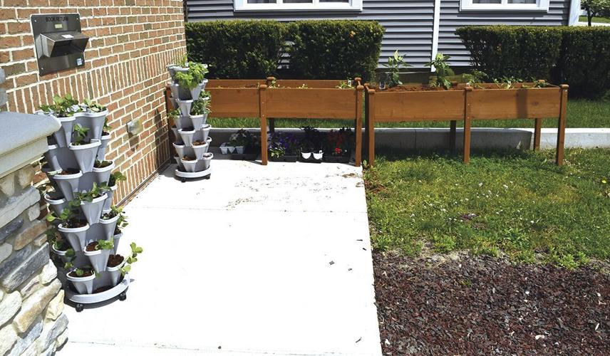 Work underway on mural outside of Holgate Community Library News