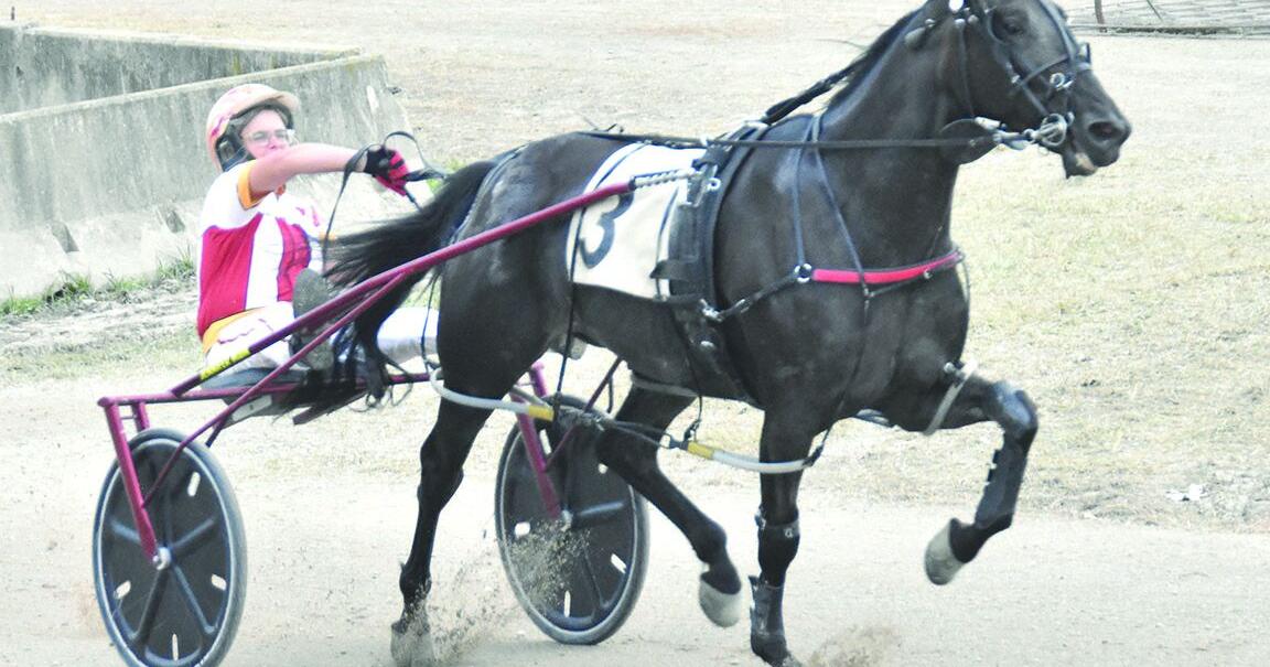 Harness Racing at The Henry County Fair