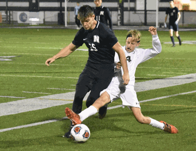 Cats Blank Oak Harbor Sports Northwestsignal Net