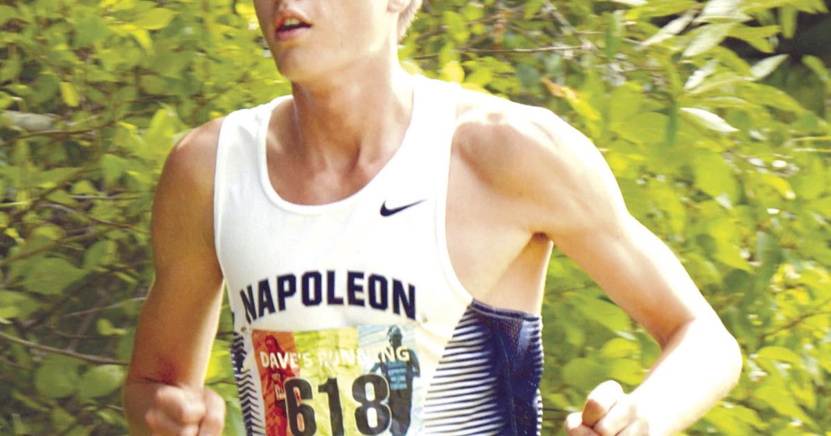 Napoleon's Jake Fellers is in the Player Spotlight | Northwest Signal ...