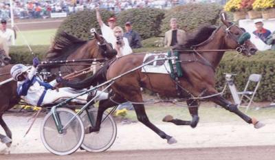 Those crazy carts may save us - Harness Racing Update
